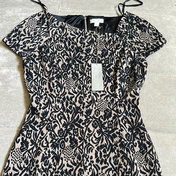 New York & Company Black and Cream Mini Dress - Picture 3 of 10